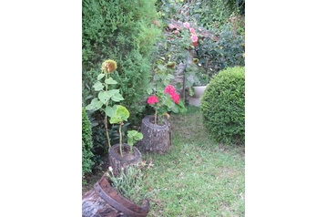 Bugarska Privát Balchik, Eksterijer